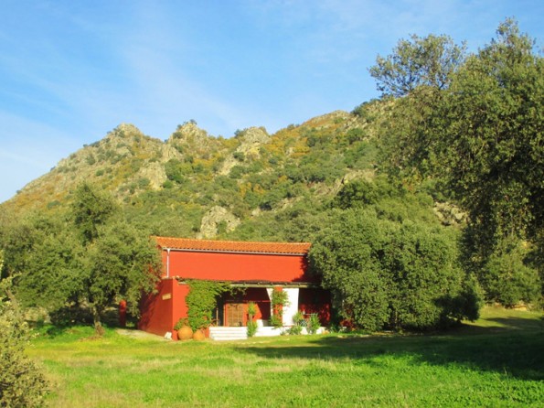 The Barn at Finca al Manzil